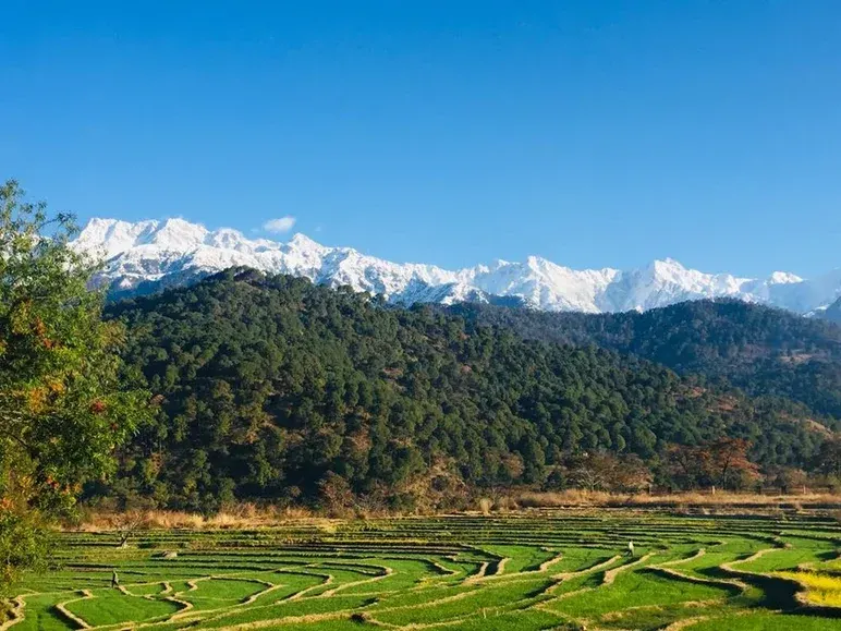 Trek Goechela-  Au pied du Kanchenjunga